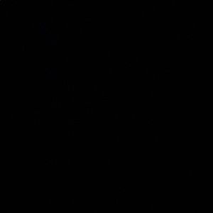 Meet your Posher, Miguel